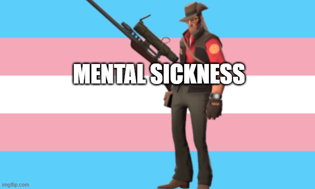 Trans Flag | MENTAL SICKNESS | image tagged in trans flag | made w/ Imgflip meme maker