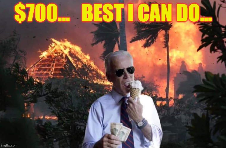 Joe really cares...  all $700 worth... | $700...   BEST I CAN DO... | image tagged in maui,fire,crooked,joe biden | made w/ Imgflip meme maker