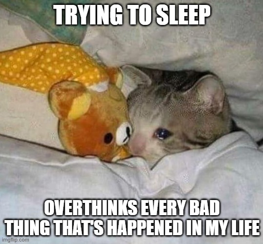 Literally me every day/night | TRYING TO SLEEP; OVERTHINKS EVERY BAD THING THAT'S HAPPENED IN MY LIFE | image tagged in crying cat,overthinking,trying to sleep,stressed out | made w/ Imgflip meme maker