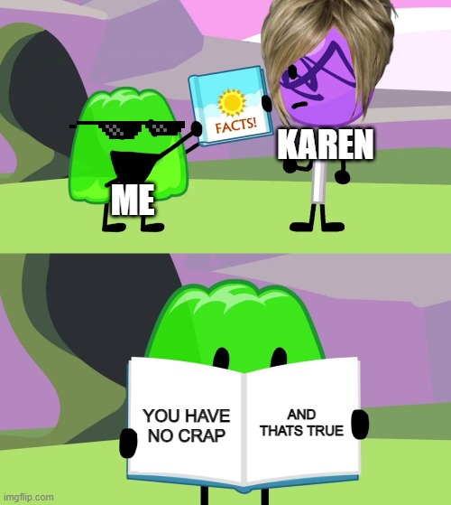 Gelatin's book of facts | KAREN; ME; AND THATS TRUE; YOU HAVE NO CRAP | image tagged in gelatin's book of facts | made w/ Imgflip meme maker