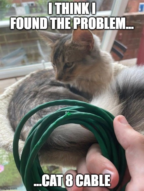 Cat 8 Cable | I THINK I FOUND THE PROBLEM... ...CAT 8 CABLE | image tagged in cats are awesome | made w/ Imgflip meme maker