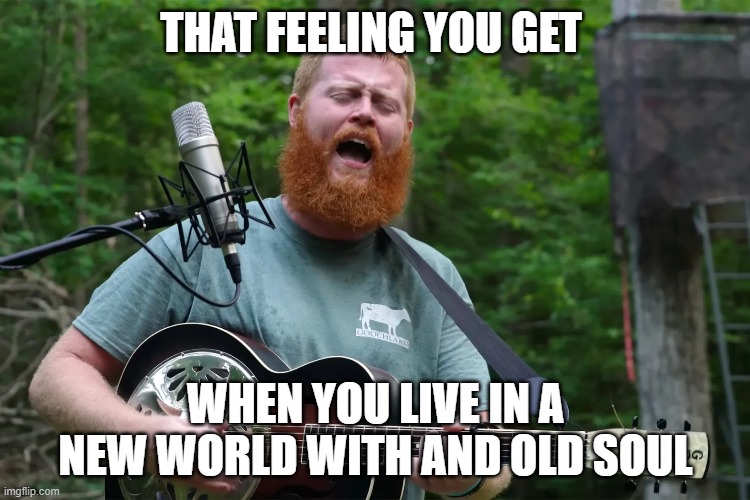 New World Old Soul | THAT FEELING YOU GET; WHEN YOU LIVE IN A NEW WORLD WITH AND OLD SOUL | image tagged in richmennorthofrichmond,oliver anthony,rich men,north of richmond,usa | made w/ Imgflip meme maker