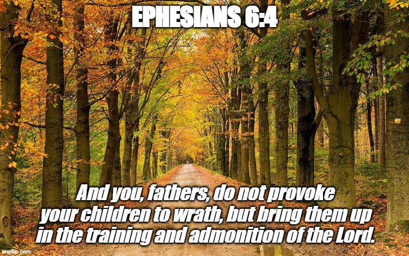 Father NEED to be in their children's lives. It is essential for a healthy family. | EPHESIANS 6:4; And you, fathers, do not provoke your children to wrath, but bring them up in the training and admonition of the Lord. | image tagged in christiansonly,bible verse of the day,jesus christ | made w/ Imgflip meme maker