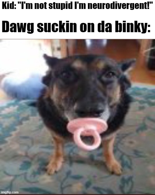 Boowomp | Dawg suckin on da binky:; Kid: "I'm not stupid I'm neurodivergent!" | image tagged in boowomp | made w/ Imgflip meme maker