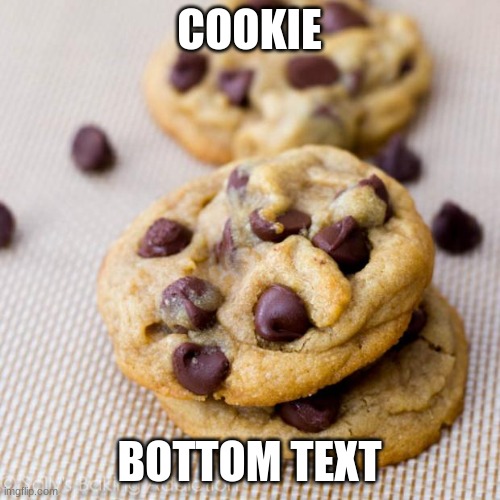 Punny Cookies | COOKIE BOTTOM TEXT | image tagged in punny cookies | made w/ Imgflip meme maker