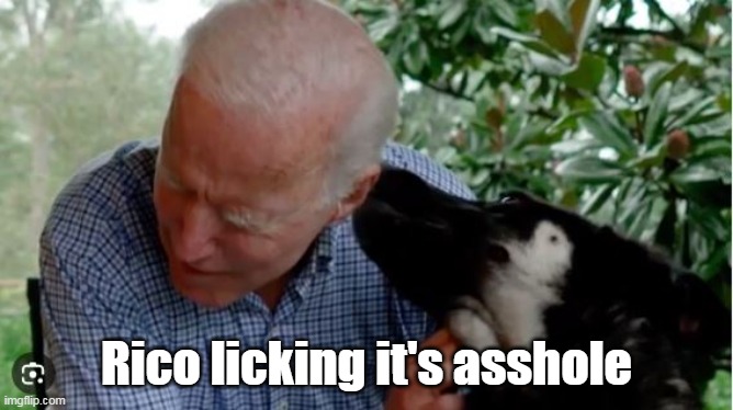 Rico licking it's asshole | made w/ Imgflip meme maker