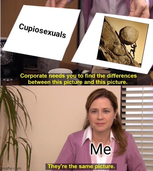 The sad truth. | Cupiosexuals; Me | image tagged in memes,they're the same picture,cupiosexual,cupiosexuality | made w/ Imgflip meme maker