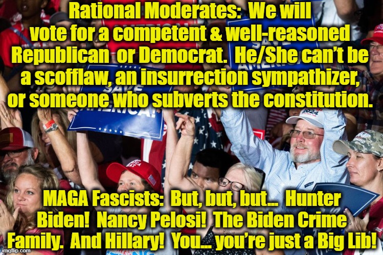 MAGA vs. Moderate | Rational Moderates:  We will vote for a competent & well-reasoned Republican  or Democrat.  He/She can’t be a scofflaw, an insurrection sympathizer, or someone who subverts the constitution. MAGA Fascists:  But, but, but…  Hunter Biden!  Nancy Pelosi!  The Biden Crime Family.  And Hillary!  You... you’re just a Big Lib! | image tagged in left wing,maga,right wing,american politics,politics suck,you can't handle the truth | made w/ Imgflip meme maker