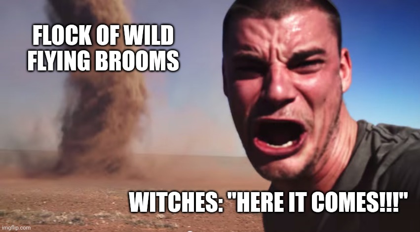 A flock of wild flying brooms | FLOCK OF WILD FLYING BROOMS; WITCHES: "HERE IT COMES!!!" | image tagged in here it comes | made w/ Imgflip meme maker