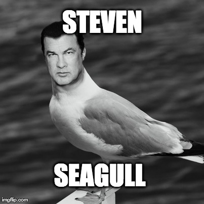 STEVEN SEAGULL
 | made w/ Imgflip meme maker