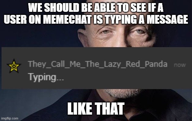 And it'd be bold so people can't troll others | WE SHOULD BE ABLE TO SEE IF A USER ON MEMECHAT IS TYPING A MESSAGE; LIKE THAT | image tagged in kid named | made w/ Imgflip meme maker