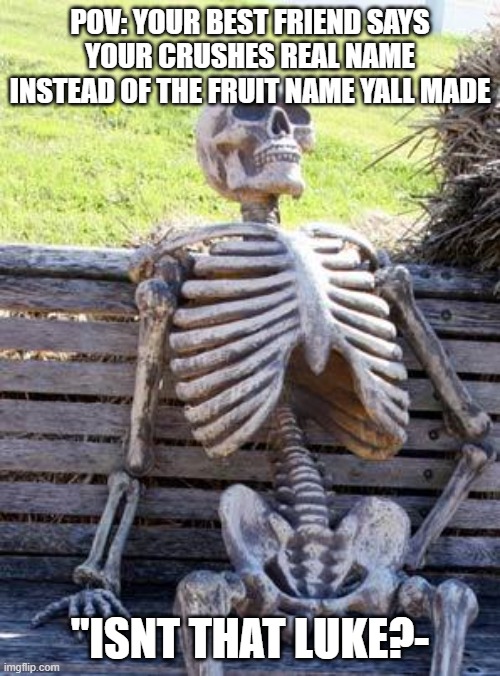 hehe...true | POV: YOUR BEST FRIEND SAYS YOUR CRUSHES REAL NAME INSTEAD OF THE FRUIT NAME YALL MADE; "ISNT THAT LUKE?- | image tagged in memes,waiting skeleton | made w/ Imgflip meme maker