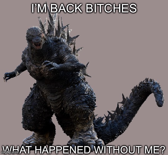 Missed me? | I’M BACK BITCHES; WHAT HAPPENED WITHOUT ME? | image tagged in return of the king,godzilla | made w/ Imgflip meme maker