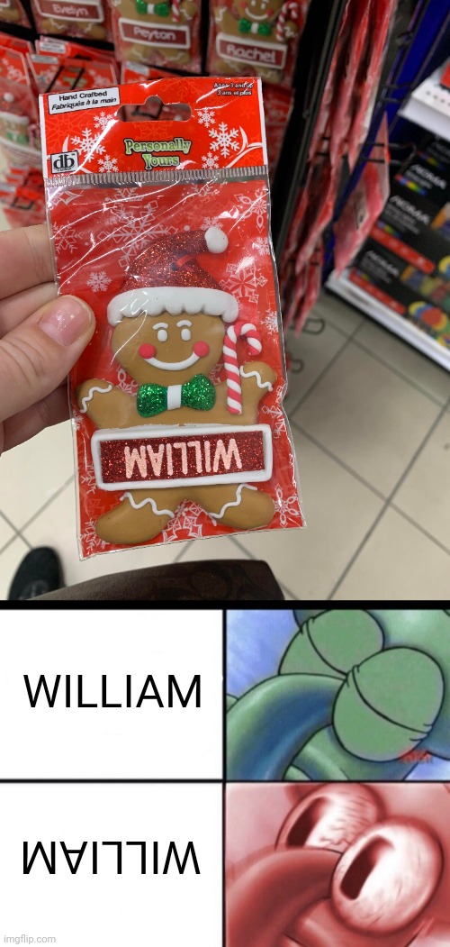 Upside down William | WILLIAM; WILLIAM | image tagged in squidward sleeping,william,gingerbread man,gingerbread cookie,you had one job,memes | made w/ Imgflip meme maker