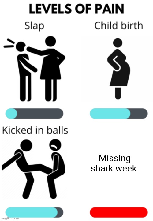 When I missed shark week | Missing shark week | image tagged in levels of pain | made w/ Imgflip meme maker
