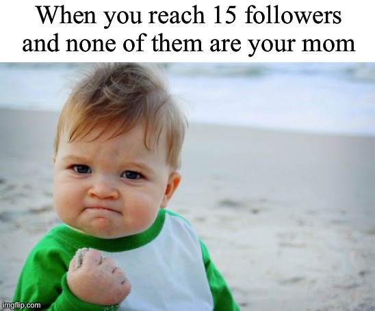 When you’re at 15 and somebody tells you they like you, you’re gonna believe them… | When you reach 15 followers and none of them are your mom | image tagged in memes,success kid original,followers,so happy,15 | made w/ Imgflip meme maker