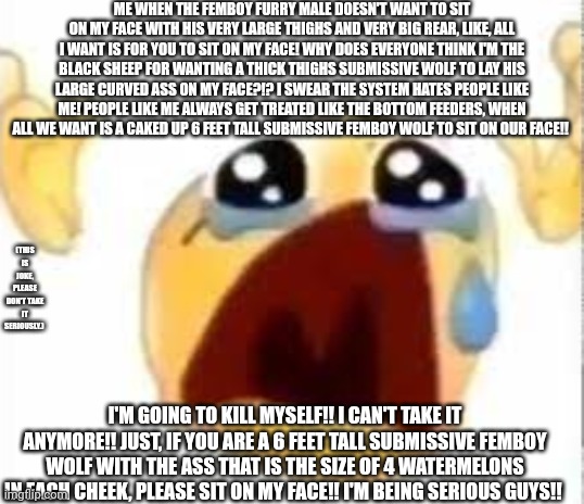 Please, someone help | ME WHEN THE FEMBOY FURRY MALE DOESN'T WANT TO SIT ON MY FACE WITH HIS VERY LARGE THIGHS AND VERY BIG REAR, LIKE, ALL I WANT IS FOR YOU TO SIT ON MY FACE! WHY DOES EVERYONE THINK I'M THE BLACK SHEEP FOR WANTING A THICK THIGHS SUBMISSIVE WOLF TO LAY HIS LARGE CURVED ASS ON MY FACE?!? I SWEAR THE SYSTEM HATES PEOPLE LIKE ME! PEOPLE LIKE ME ALWAYS GET TREATED LIKE THE BOTTOM FEEDERS, WHEN ALL WE WANT IS A CAKED UP 6 FEET TALL SUBMISSIVE FEMBOY WOLF TO SIT ON OUR FACE!! (THIS IS JOKE, PLEASE DON'T TAKE IT SERIOUSLY.); I'M GOING TO KILL MYSELF!! I CAN'T TAKE IT ANYMORE!! JUST, IF YOU ARE A 6 FEET TALL SUBMISSIVE FEMBOY WOLF WITH THE ASS THAT IS THE SIZE OF 4 WATERMELONS IN EACH CHEEK, PLEASE SIT ON MY FACE!! I'M BEING SERIOUS GUYS!! | image tagged in crying emoji,furry,furry memes,sad | made w/ Imgflip meme maker