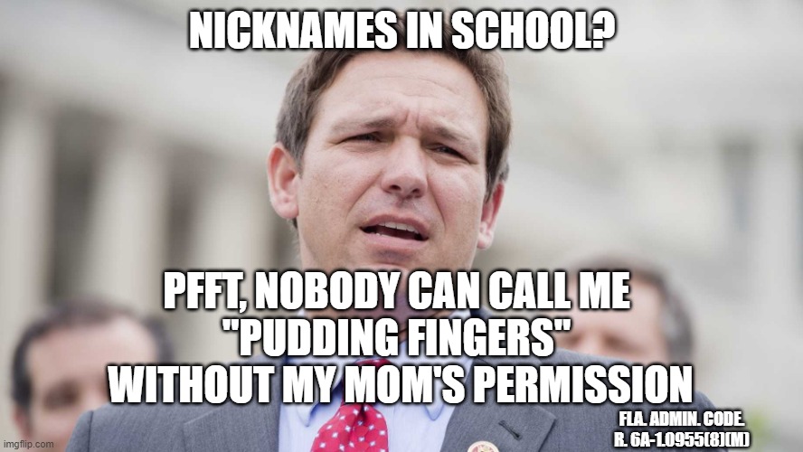 Meanwhile in Desantistan | NICKNAMES IN SCHOOL? PFFT, NOBODY CAN CALL ME 
"PUDDING FINGERS" 
WITHOUT MY MOM'S PERMISSION; FLA. ADMIN. CODE. R. 6A-1.0955(8)(M) | image tagged in ron desantis,gop,education,school,florida | made w/ Imgflip meme maker