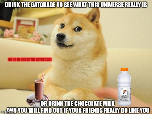 maybe he should have chose the milk.right? | DRINK THE GATORADE TO SEE WHAT THIS UNIVERSE REALLY IS; OH NO HE CHOSE THE GATORADE!! OR DRINK THE CHOCOLATE MILK
 AND YOU WILL FIND OUT IF YOUR FRIENDS REALLY DO LIKE YOU | image tagged in memes,doge 2 | made w/ Imgflip meme maker