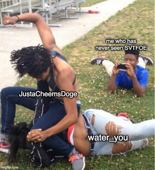 im new to this stream | me who has never seen SVTFOE; JustaCheemsDoge; water_you | image tagged in guy recording a fight | made w/ Imgflip meme maker
