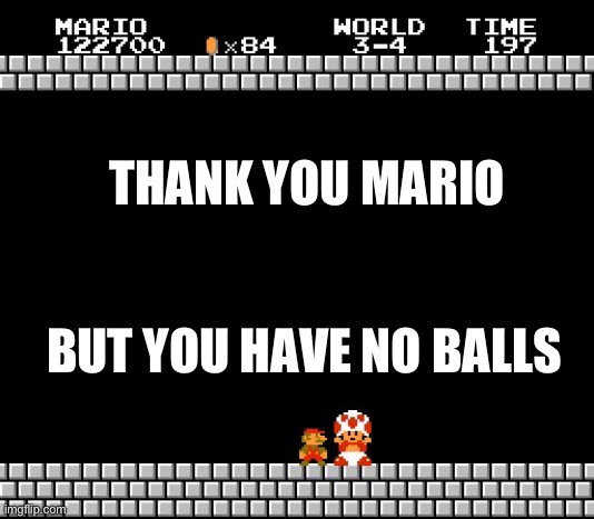 Thank You Mario | THANK YOU MARIO; BUT YOU HAVE NO BALLS | image tagged in thank you mario | made w/ Imgflip meme maker