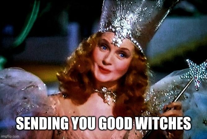 the good witch of the north | SENDING YOU GOOD WITCHES | image tagged in the good witch of the north | made w/ Imgflip meme maker