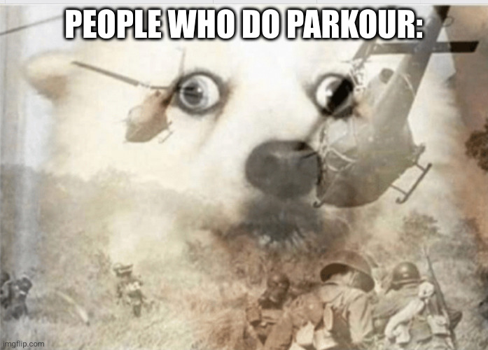 PTSD dog | PEOPLE WHO DO PARKOUR: | image tagged in ptsd dog | made w/ Imgflip meme maker