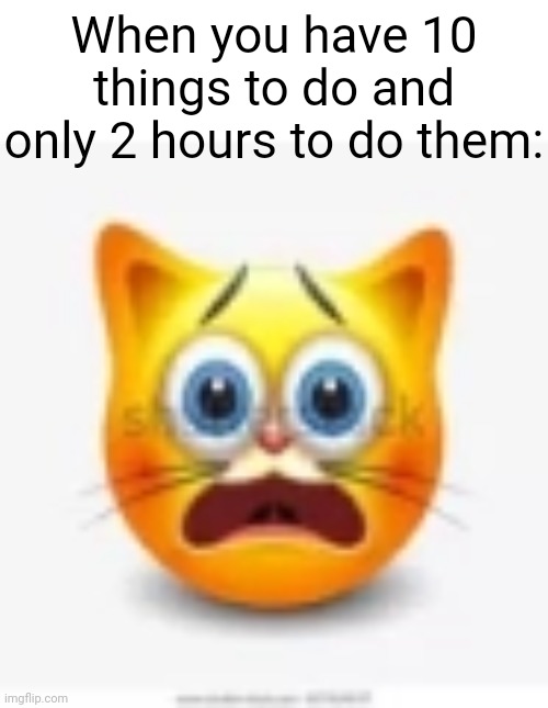 cat stock emoji scared | When you have 10 things to do and only 2 hours to do them: | image tagged in cat stock emoji scared | made w/ Imgflip meme maker