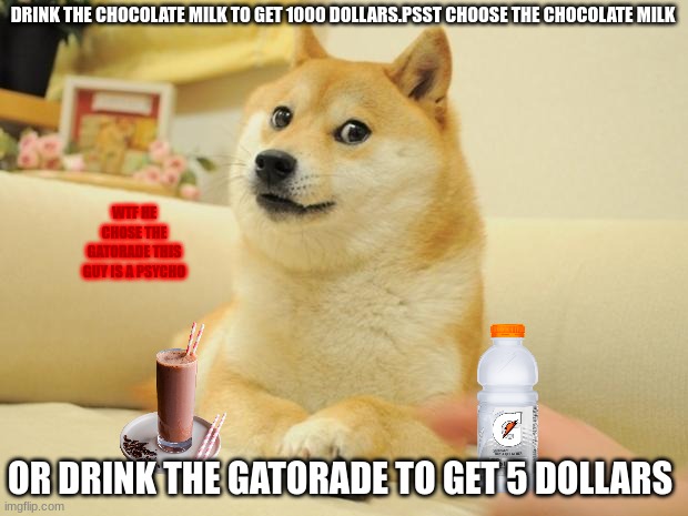 The guy whos WAY TOO obsessed with gatorade | DRINK THE CHOCOLATE MILK TO GET 1000 DOLLARS.PSST CHOOSE THE CHOCOLATE MILK; WTF HE CHOSE THE GATORADE THIS GUY IS A PSYCHO; OR DRINK THE GATORADE TO GET 5 DOLLARS | image tagged in memes,doge 2 | made w/ Imgflip meme maker
