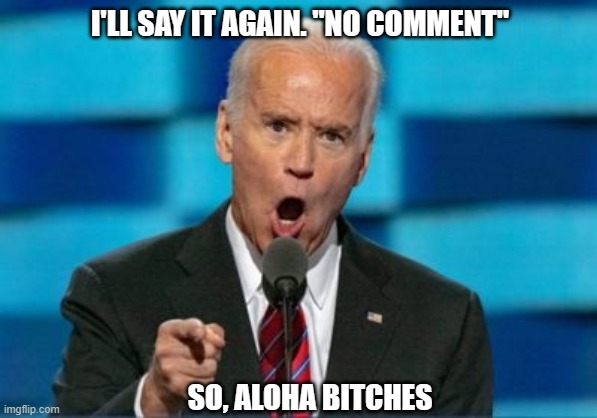 Imagine if Trump had did this. | I'LL SAY IT AGAIN. "NO COMMENT"; SO, ALOHA BITCHES | image tagged in democrats,liberals,woke,leftists,joe biden,hypocrites | made w/ Imgflip meme maker