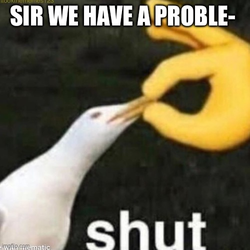 Shut Gull | SIR WE HAVE A PROBLE- | image tagged in shut gull | made w/ Imgflip meme maker