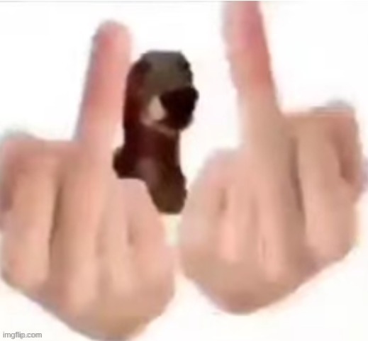 fuck you dog | image tagged in fuck you dog | made w/ Imgflip meme maker