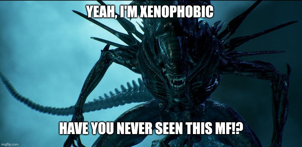 That is a xenomorph | YEAH, I'M XENOPHOBIC; HAVE YOU NEVER SEEN THIS MF!? | image tagged in alien queen | made w/ Imgflip meme maker