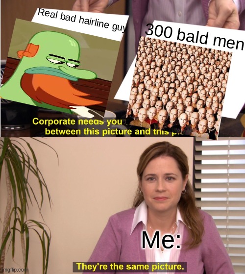 They are the same picture..... | Real bad hairline guy; 300 bald men; Me: | image tagged in memes,they're the same picture | made w/ Imgflip meme maker