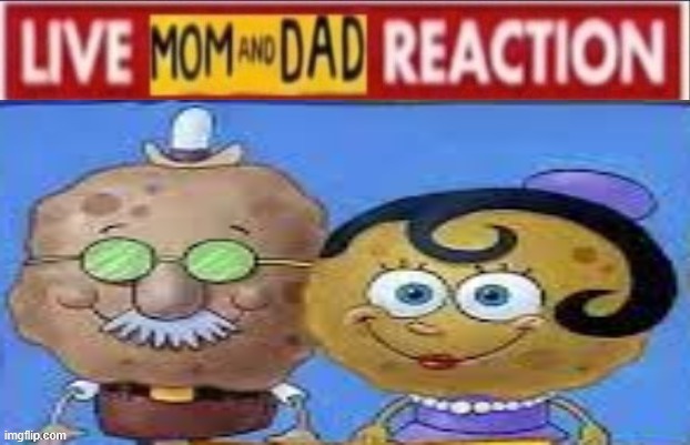 Good mom and dad | image tagged in good mom and dad | made w/ Imgflip meme maker