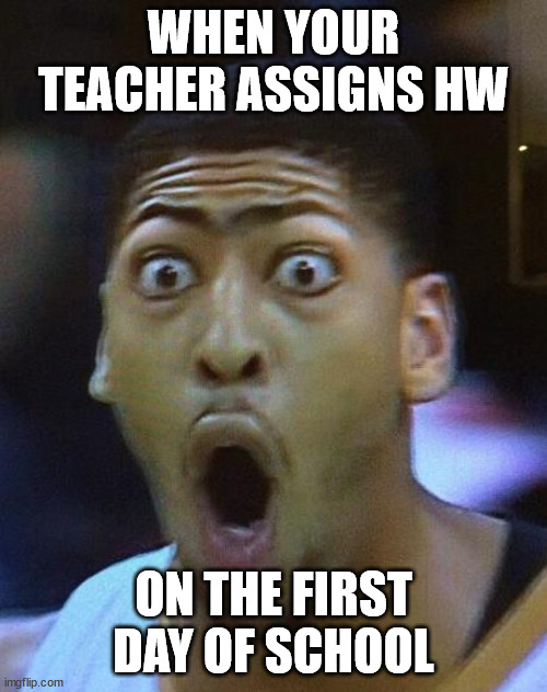 Shocked Face | WHEN YOUR TEACHER ASSIGNS HW; ON THE FIRST DAY OF SCHOOL | image tagged in shocked face | made w/ Imgflip meme maker