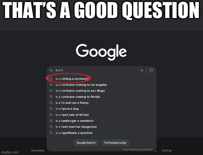 Hotdog=Sandwhich | THAT’S A GOOD QUESTION | image tagged in memes,google | made w/ Imgflip meme maker