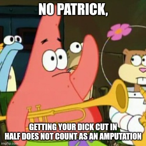 No Patrick Meme | NO PATRICK, GETTING YOUR DICK CUT IN HALF DOES NOT COUNT AS AN AMPUTATION | image tagged in memes,no patrick | made w/ Imgflip meme maker