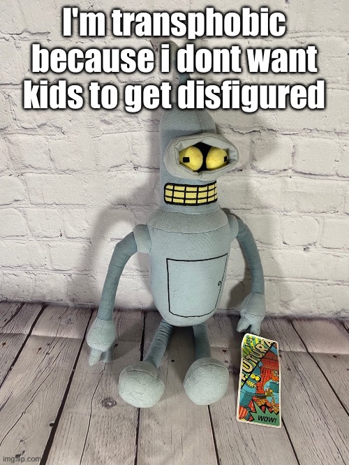 We are the worst species | I'm transphobic because i dont want kids to get disfigured | image tagged in bender plush | made w/ Imgflip meme maker
