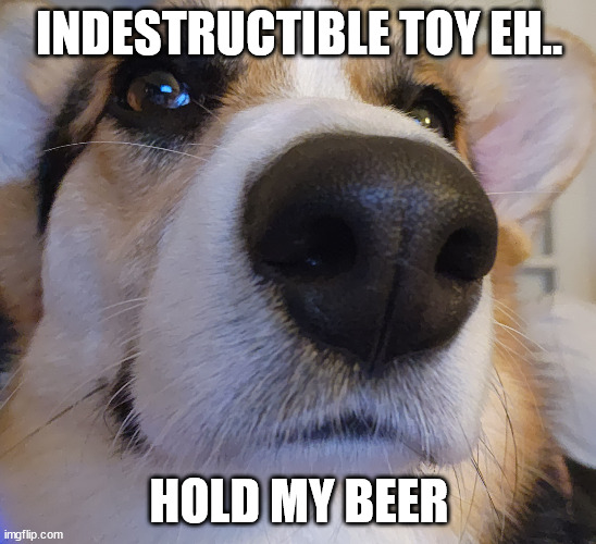 Lando Close Up | INDESTRUCTIBLE TOY EH.. HOLD MY BEER | image tagged in lando close up | made w/ Imgflip meme maker