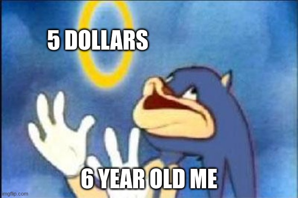 Sonic derp | 5 DOLLARS; 6 YEAR OLD ME | image tagged in sonic derp | made w/ Imgflip meme maker