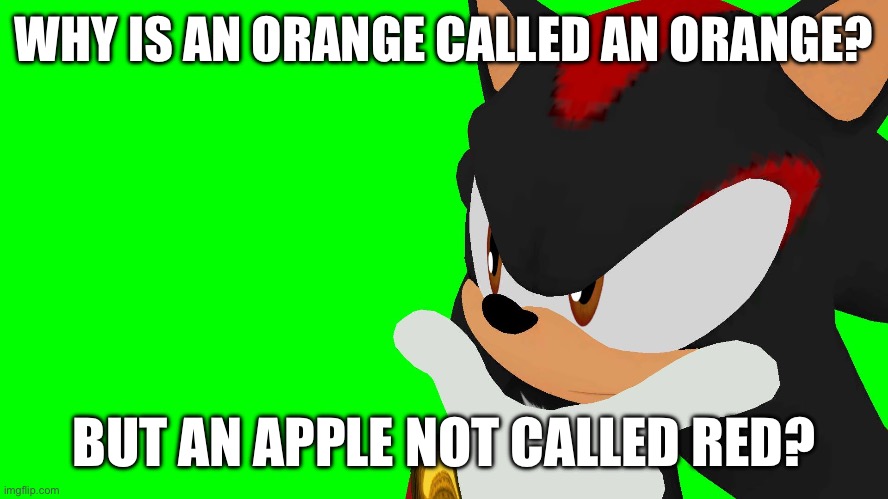 Template coming soon | WHY IS AN ORANGE CALLED AN ORANGE? BUT AN APPLE NOT CALLED RED? | image tagged in shadow,eating a burger with no honey mustard,why is an orange called orange,vrchat | made w/ Imgflip meme maker