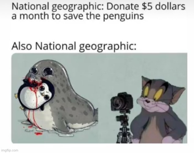 … | made w/ Imgflip meme maker