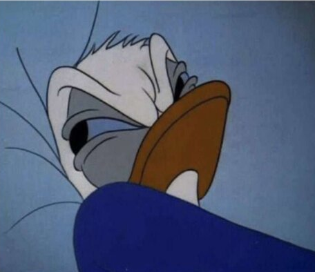 High Quality Angry Donald Duck in Bed Blank Meme Template
