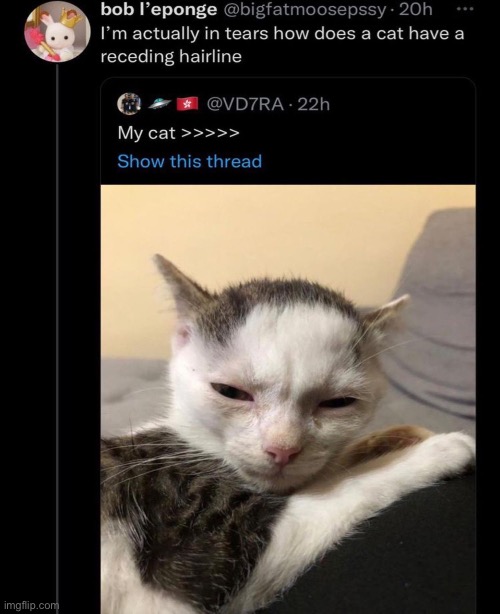 … | made w/ Imgflip meme maker