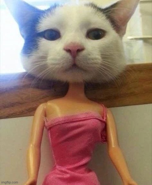 … | made w/ Imgflip meme maker