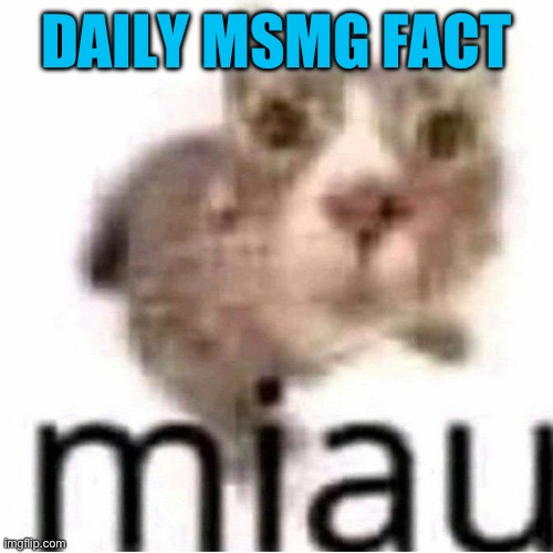 High Quality Daily MSMG fact Blank Meme Template