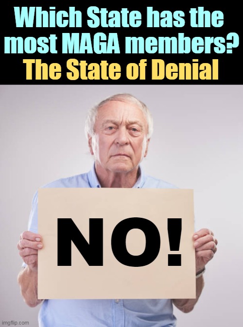 Which State has the 
most MAGA members? The State of Denial; NO! | image tagged in maga,state,denial,no | made w/ Imgflip meme maker