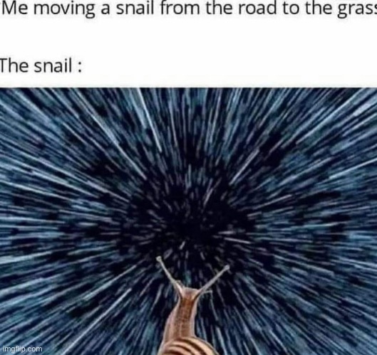 … | made w/ Imgflip meme maker