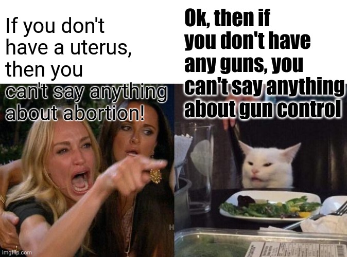 Woman Yelling At Cat | If you don't have a uterus, 
then you can't say anything about abortion! Ok, then if you don't have any guns, you can't say anything about gun control | image tagged in memes,woman yelling at cat | made w/ Imgflip meme maker